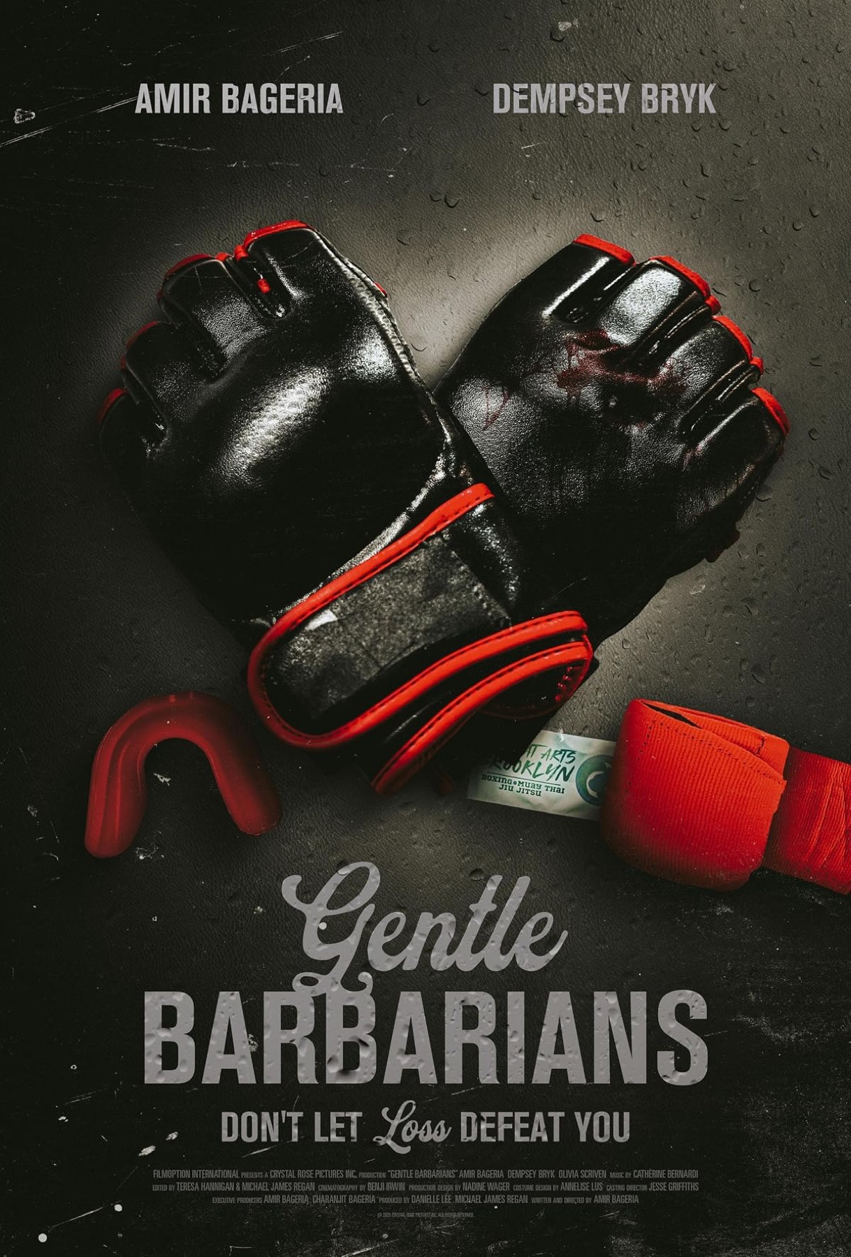 GENTLE BARBARIANS poster