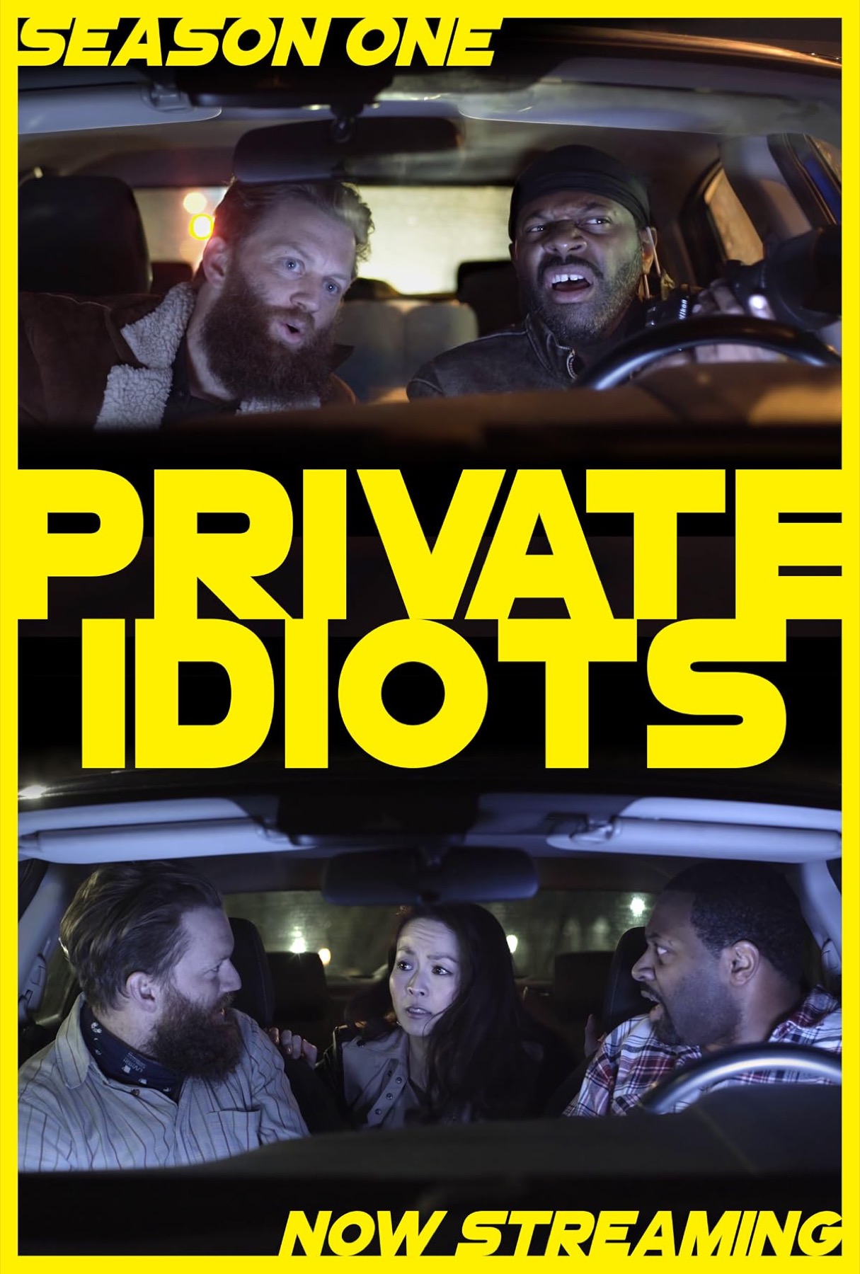 PRIVATE IDIOTS poster