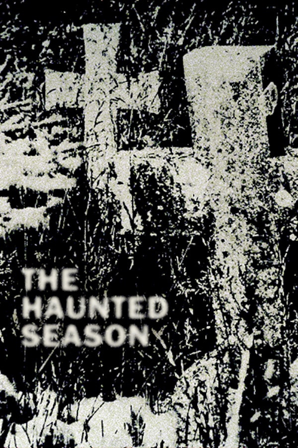 THE HAUNTED SEASON: THE OCCUPANT OF THE ROOM poster
